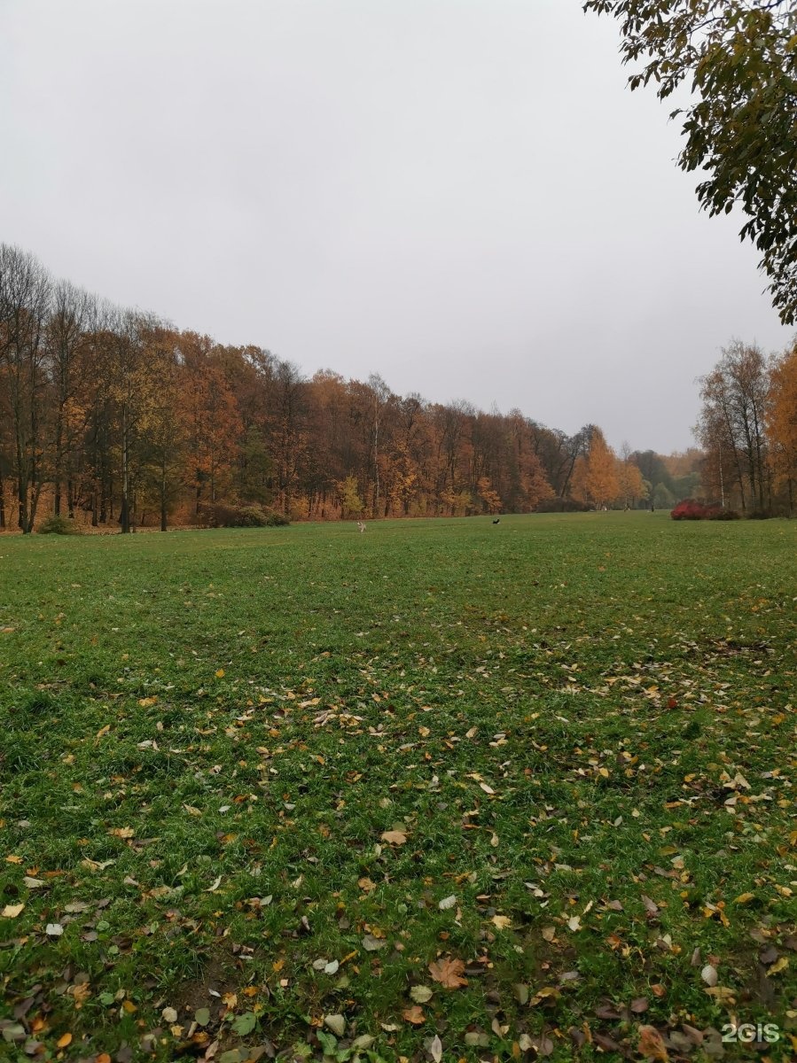 удельный парк санкт петербург