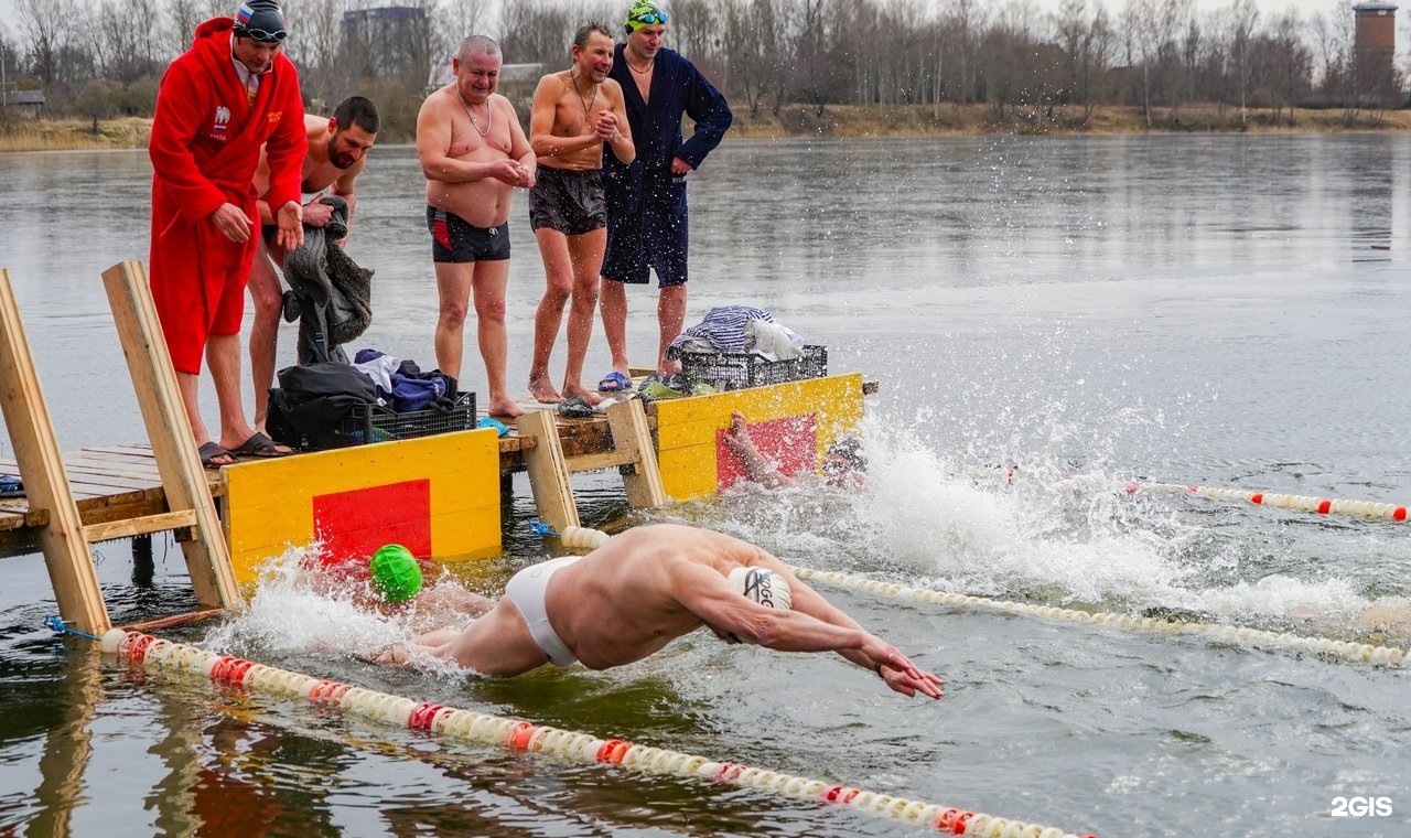 ул дзержинского 202г калининград янтарные моржи. шенфлиз озеро в калининграде. верхнее озеро калининград морж. ирина волкова карабут калининград янтарные моржи. янтарные моржи.