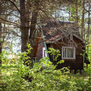 Фото от владельца Камские дали, база отдыха