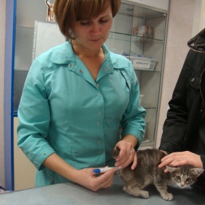 Фото от владельца Центральная на Московской, ветеринарная клиника
