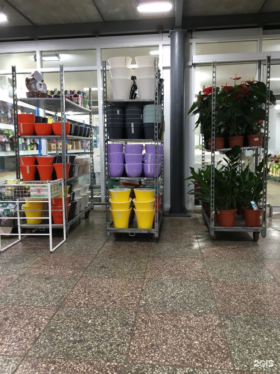 Цветы оптом и в розницу саратов московское шоссе, невесты