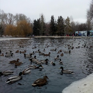 Фото от владельца Городской парк