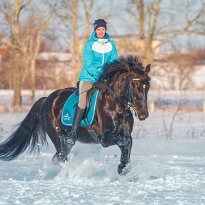 Фото от владельца Мариарт, конно-спортивный клуб