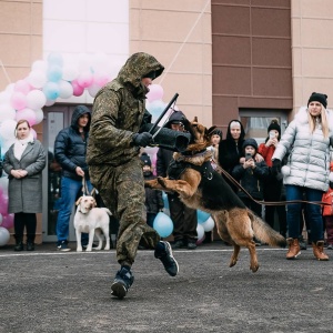 Фото от владельца I Love Pets, школа для собак