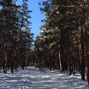 Фото от владельца Городской центральный парк культуры и отдыха, МАУ