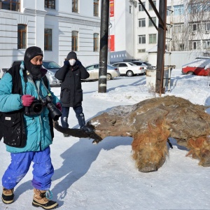 Фото от владельца Академия наук Республики Саха (Якутия)