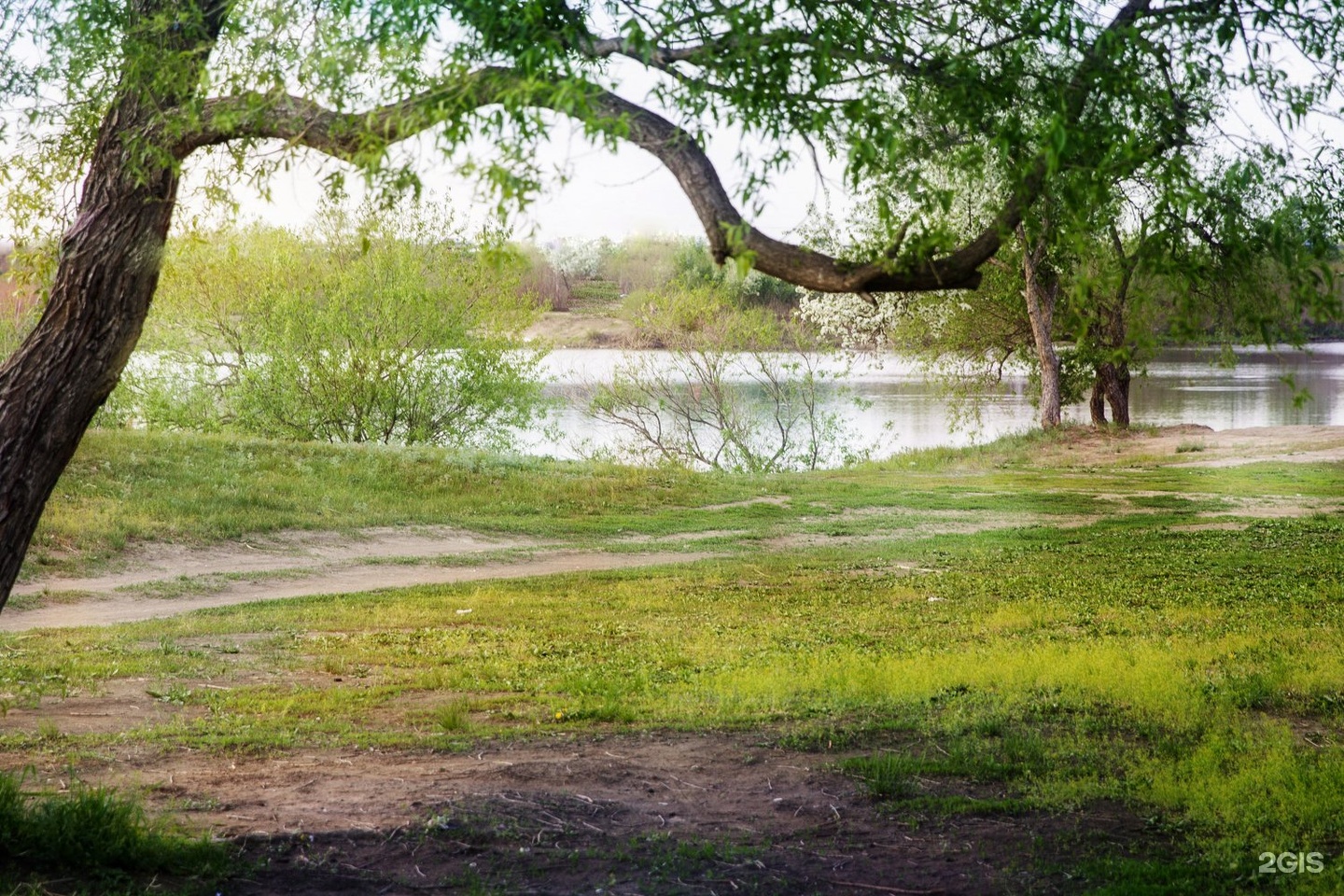 Метехи Владимировка. База Метехи Благовещенск. Метехи Благовещенск фото.