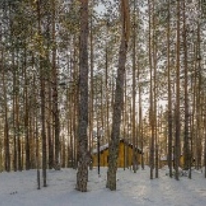 Фото от владельца Лента, база отдыха