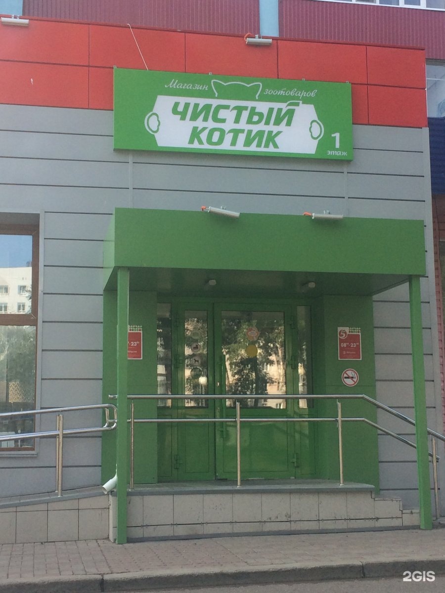 Чистый котик стерлитамак