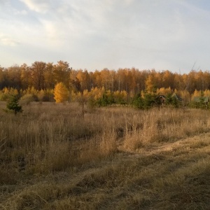 Фото от владельца Лесопожарный центр