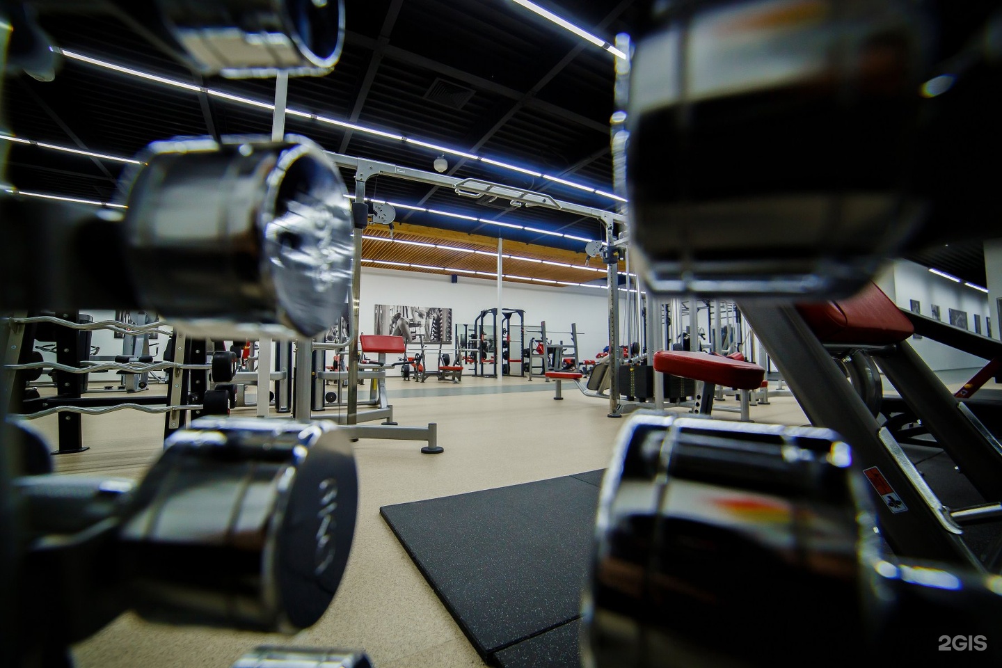 Советская 64 Липецк Фото