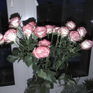 Фото от владельца Империя роз, цветочный салон