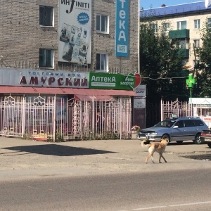 Фото от владельца Амурский, торговый дом