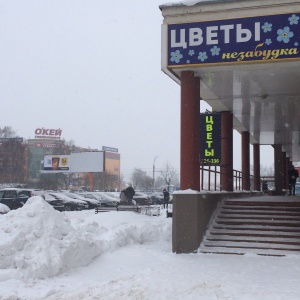 Фото от владельца Незабудка, салон цветов