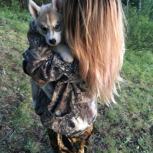 Фото от владельца Дивные хаски, база отдыха