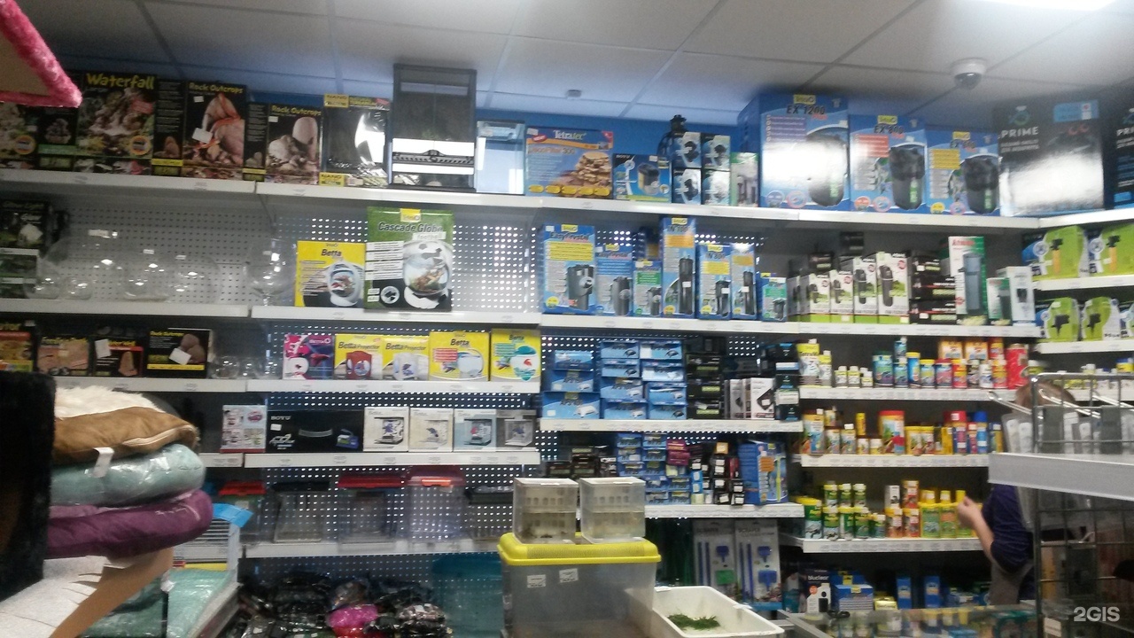 зоомагазин иваново. зоомагазин в победе ярославль брагино. первый зоомагазин. комкорд тула зоомагазин каталог. зебра зоомагазин красноярск.