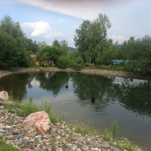 Фото от владельца Роев ручей, парк флоры и фауны