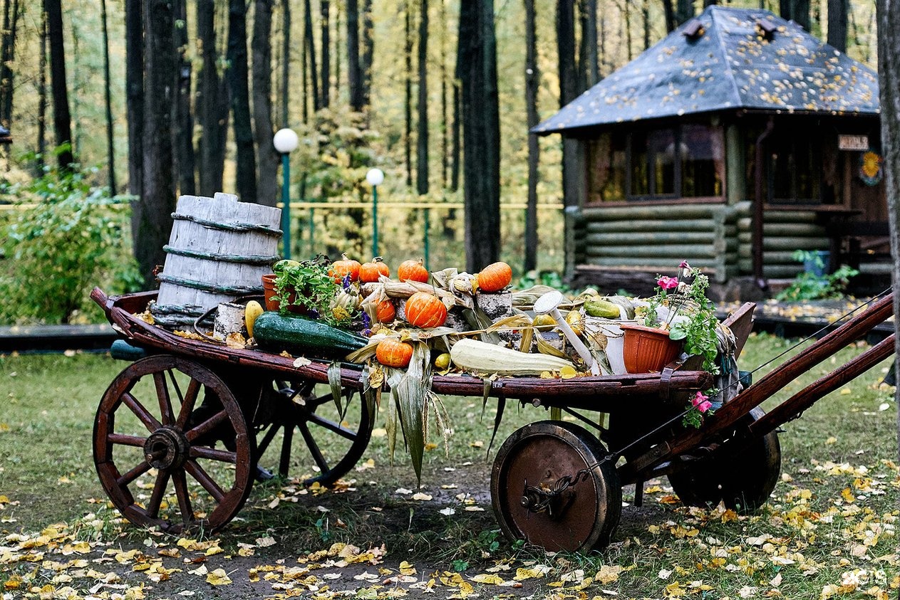 Кафе изба в йошкар оле