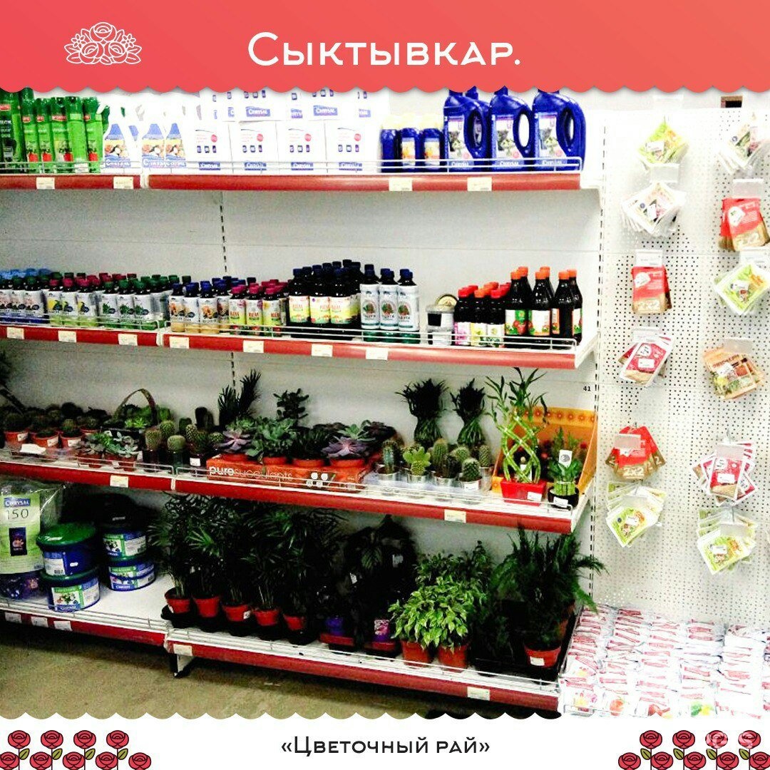Оптовая продажа цветов в сыктывкаре, купить брату