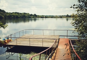 Отель Цветов лес в Курске