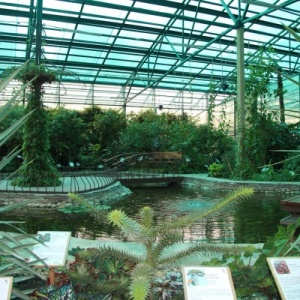 Фото от владельца Botanika, ботанический сад