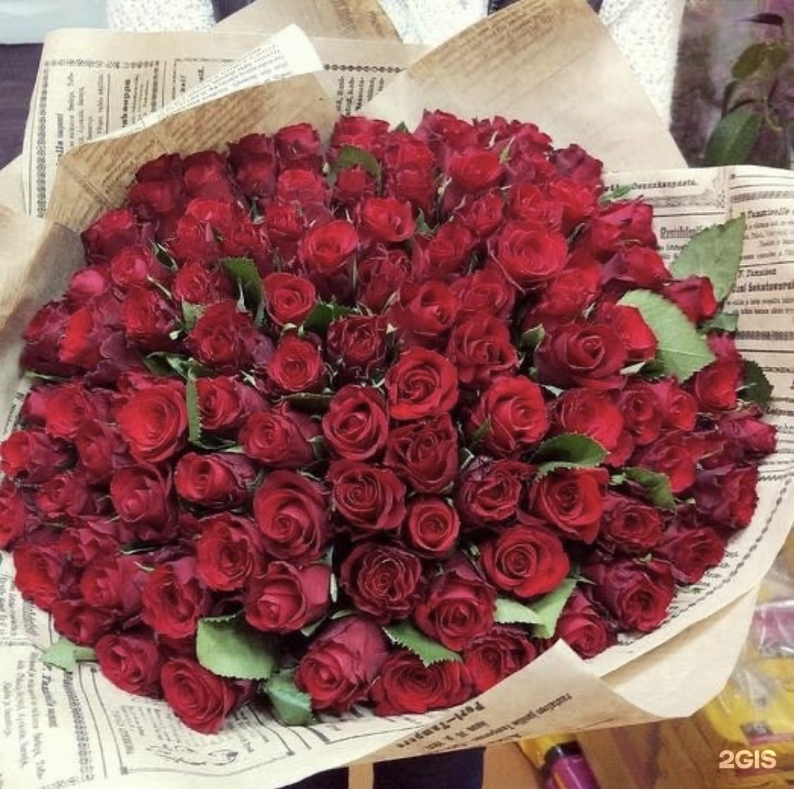 Розы майкоп. Большой букет красных роз. Огромный букет красных роз.
