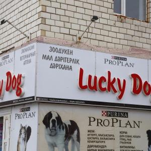 Фото от владельца Lucky Dog, магазин зоотоваров