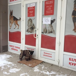 Фото от владельца Lucky Dog, магазин зоотоваров