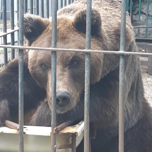 Фото от владельца Карагандинский государственный зоопарк