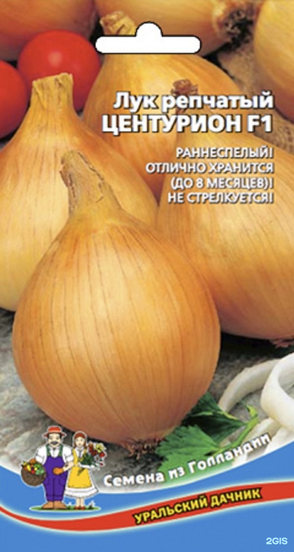 Лук описание сорта фото отзывы. Лук Центурион f1. Лук репчатый Центурион f1. Лук сорт Центурион f1. Лук-севок Центурион f1.