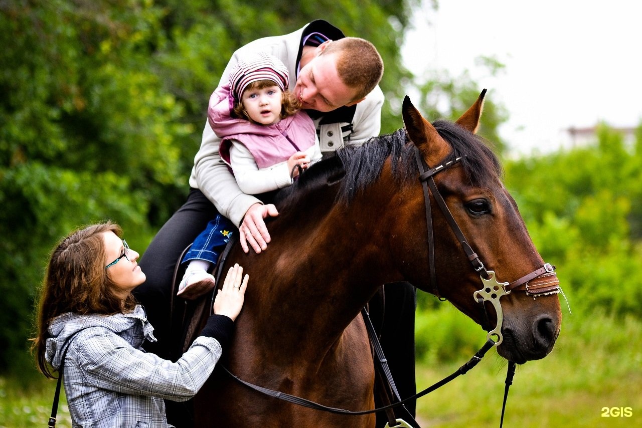Horse family. Прогулка на конях. Катание на лошадях. Прогулка на лошадях с детьми. Фотосессия с лошадьми дети.