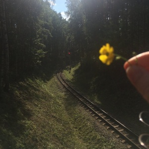 Фото от владельца Екатеринбургский Центральный Парк Культуры и Отдыха им. В.В. Маяковского