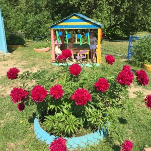Фото от владельца Дошколенок, частный детский сад