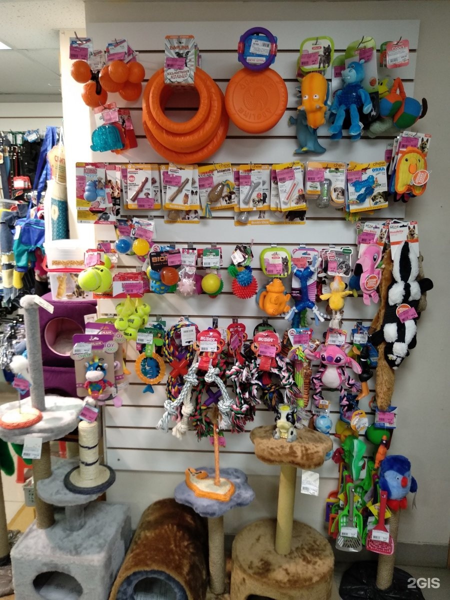 Где Купить Животных В Екатеринбурге