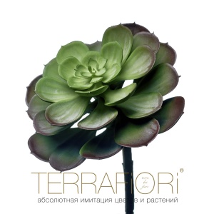 Фото от владельца Terra Fiori, студия имитации цветов и растений
