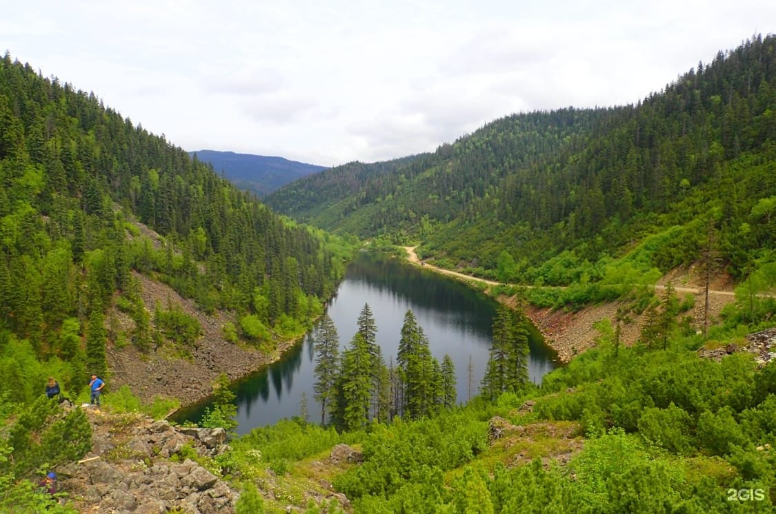 Тайга Комсомольск на Амуре