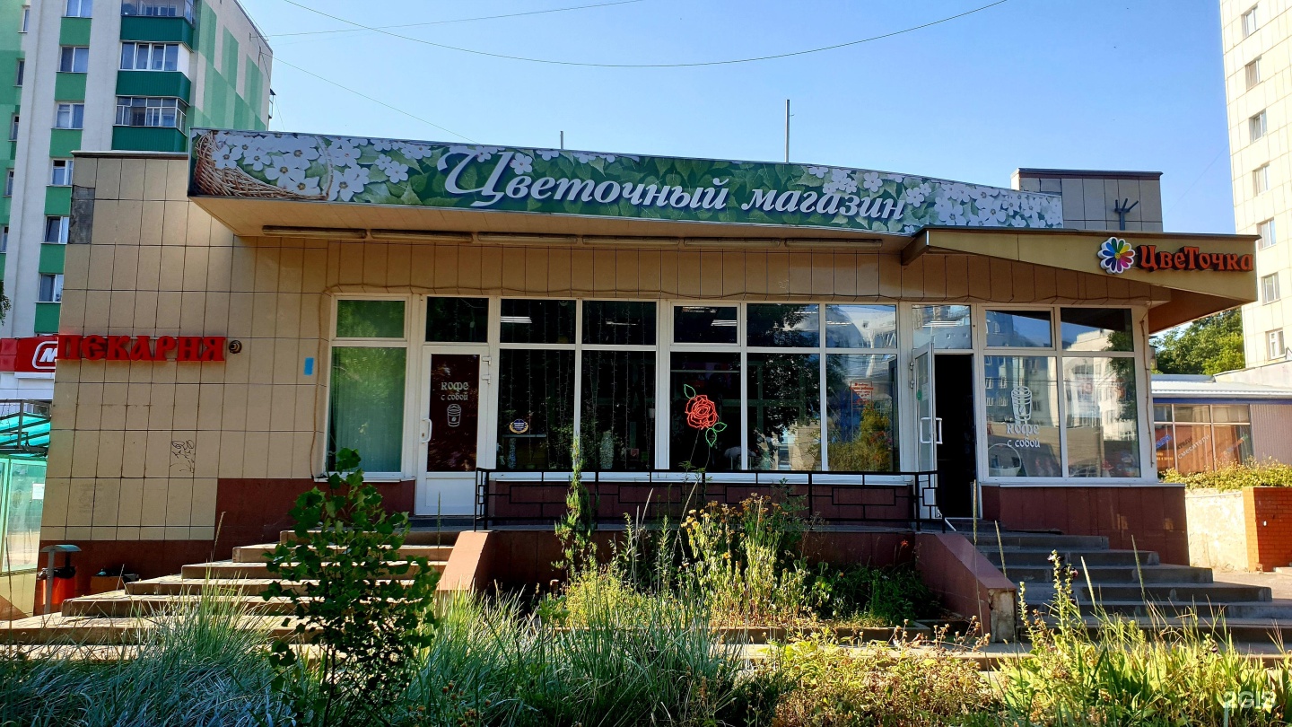 мокка пицца в белгороде костюкова фото 118