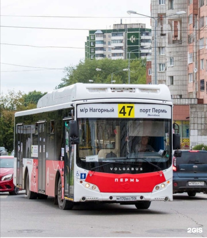 Автобус 47 мачтобазы пермь. 47 Автобус. 47 Автобус Казань. 47 Автобус Пермь. 47 Автобус Омск.