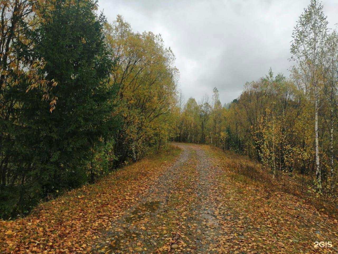 Осиновое плесо новокузнецкий район карта