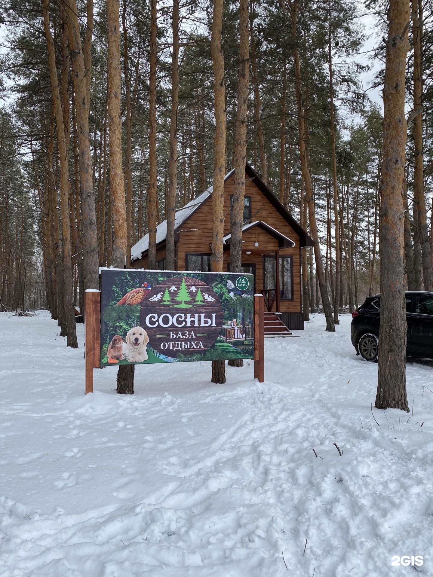 стерлитамак санаторий ольховка