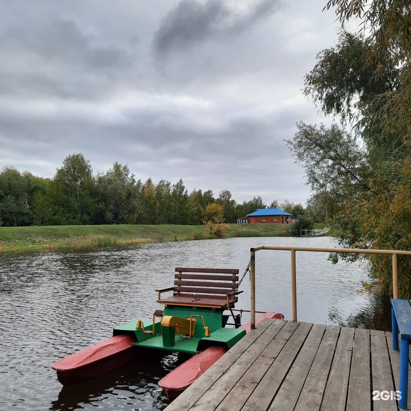 Подсолнухи база отдыха омск