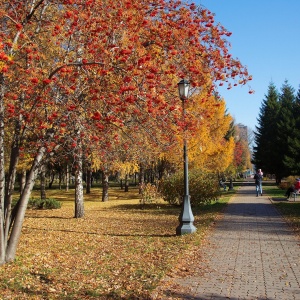 Осень В Новосибирске Фото