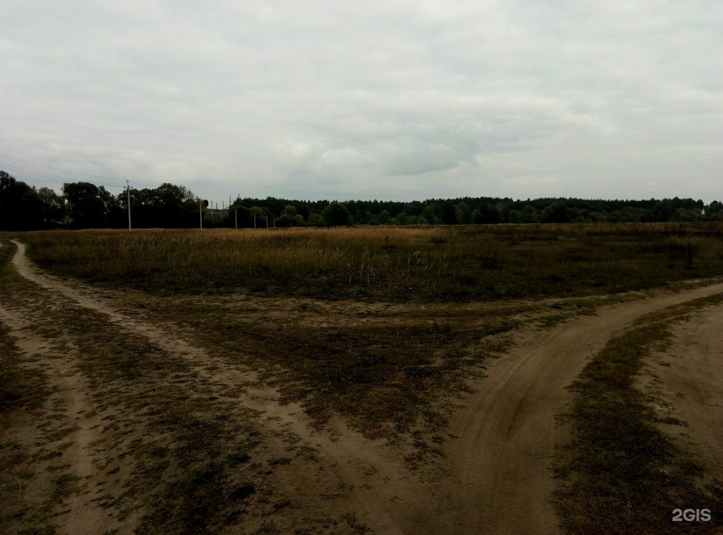 Лужок фото. "Воловьи Лужки, говорите, ваши?".