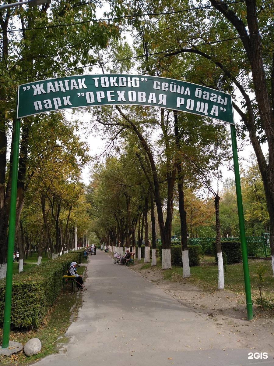 ореховый лес в киргизии