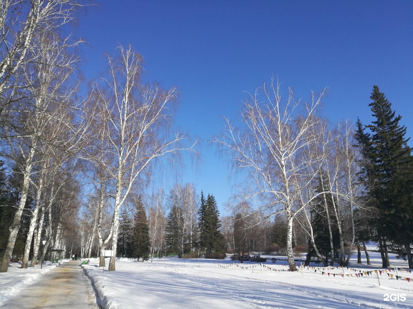 Восточная роща омск фото