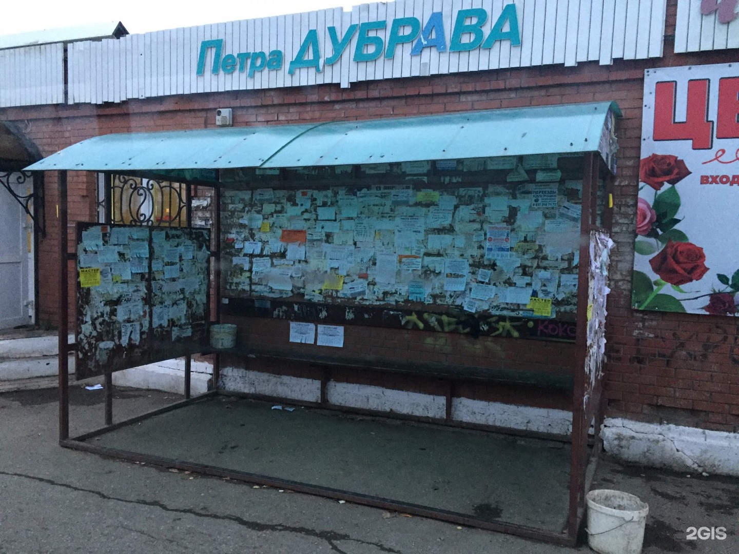 Поликлиника петра дубрава. Остановка Дубрава Новочебоксарск. Остановка Дубрава Воронеж. Остановка Дубрава Воронеж маршрутки. Остановка Дуброва Пермский край.