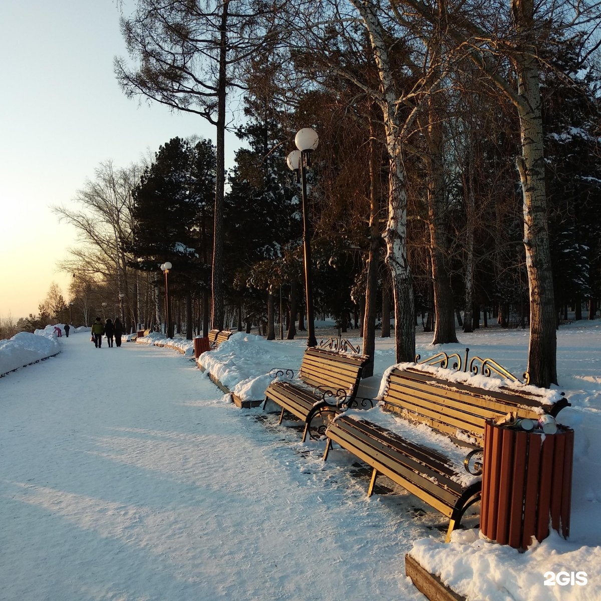 Карта лагерного сада томск