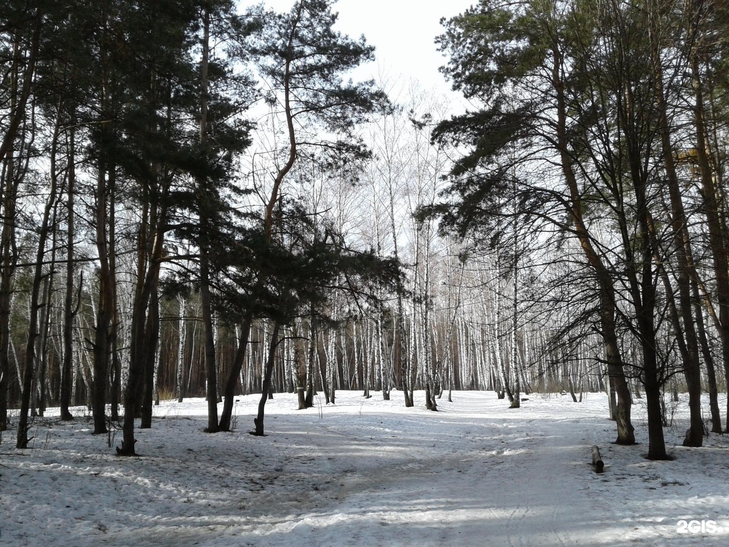 парк оптимистов воронеж