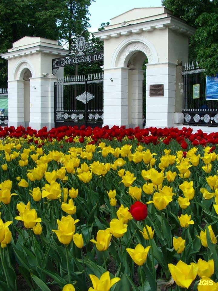 Лефортовский парк в москве