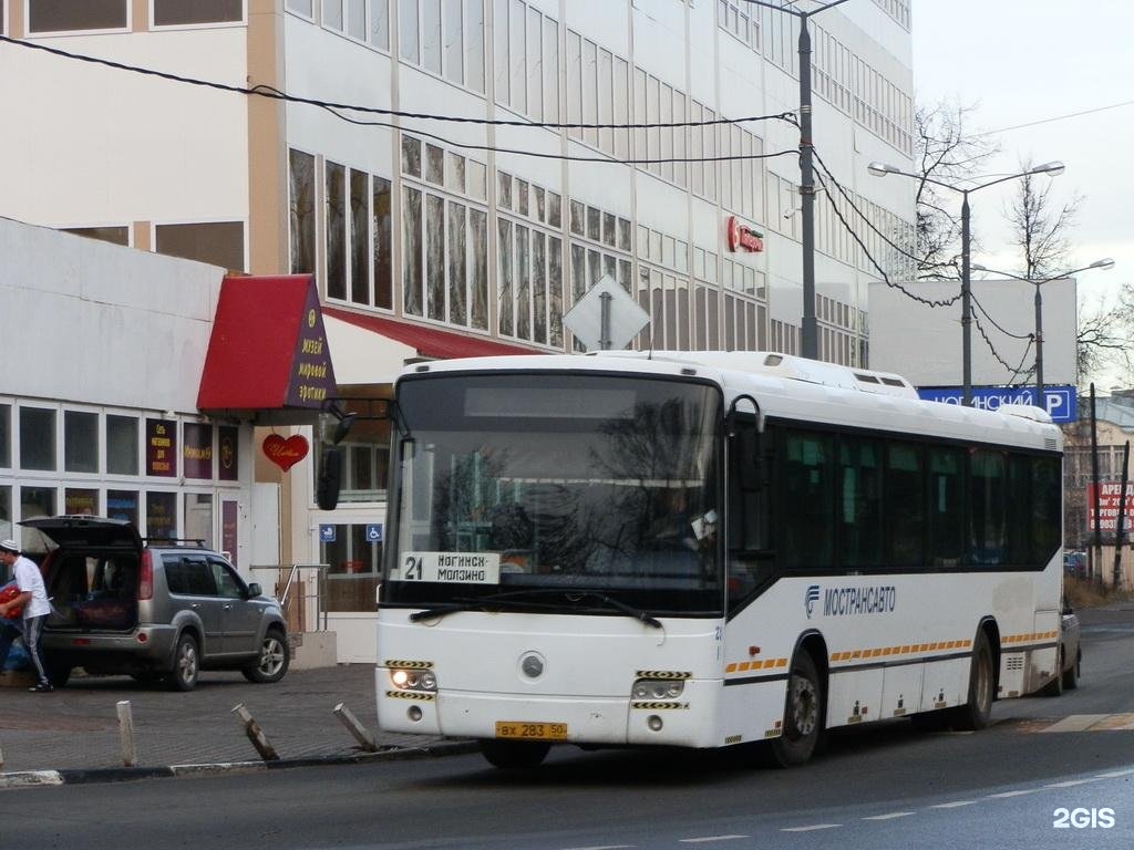 21 автобус молзино. 21 Автобус Ногинск Молзино. Ногинск Молзино автобус. Ногинские автобусы. Автобус Ногинск.